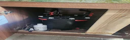 Cichlids fish for sale: 6ft tank and cichlids  - Advert 9