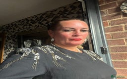 Persian cats for sale: Seal Colourpoint Persian Kittens - Image 17