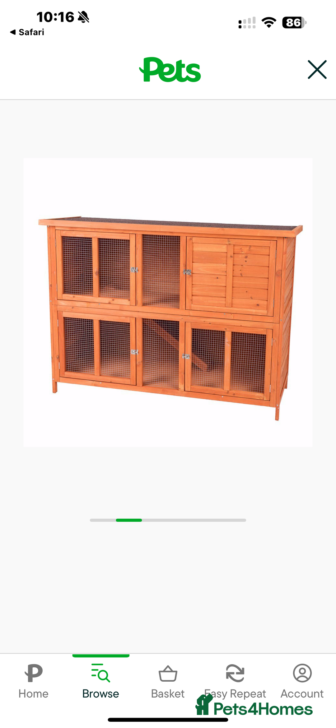 Mini Lop rabbits for sale: Mini lop female  - Image 10