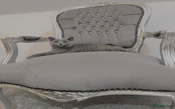 British Shorthair cats for sale: British blue shorthaired male & female kitten - Image 14