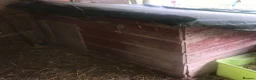 Quail poultry for sale: NEST-BOX FOR CHICKENS/QUAILS ! - Advert 1