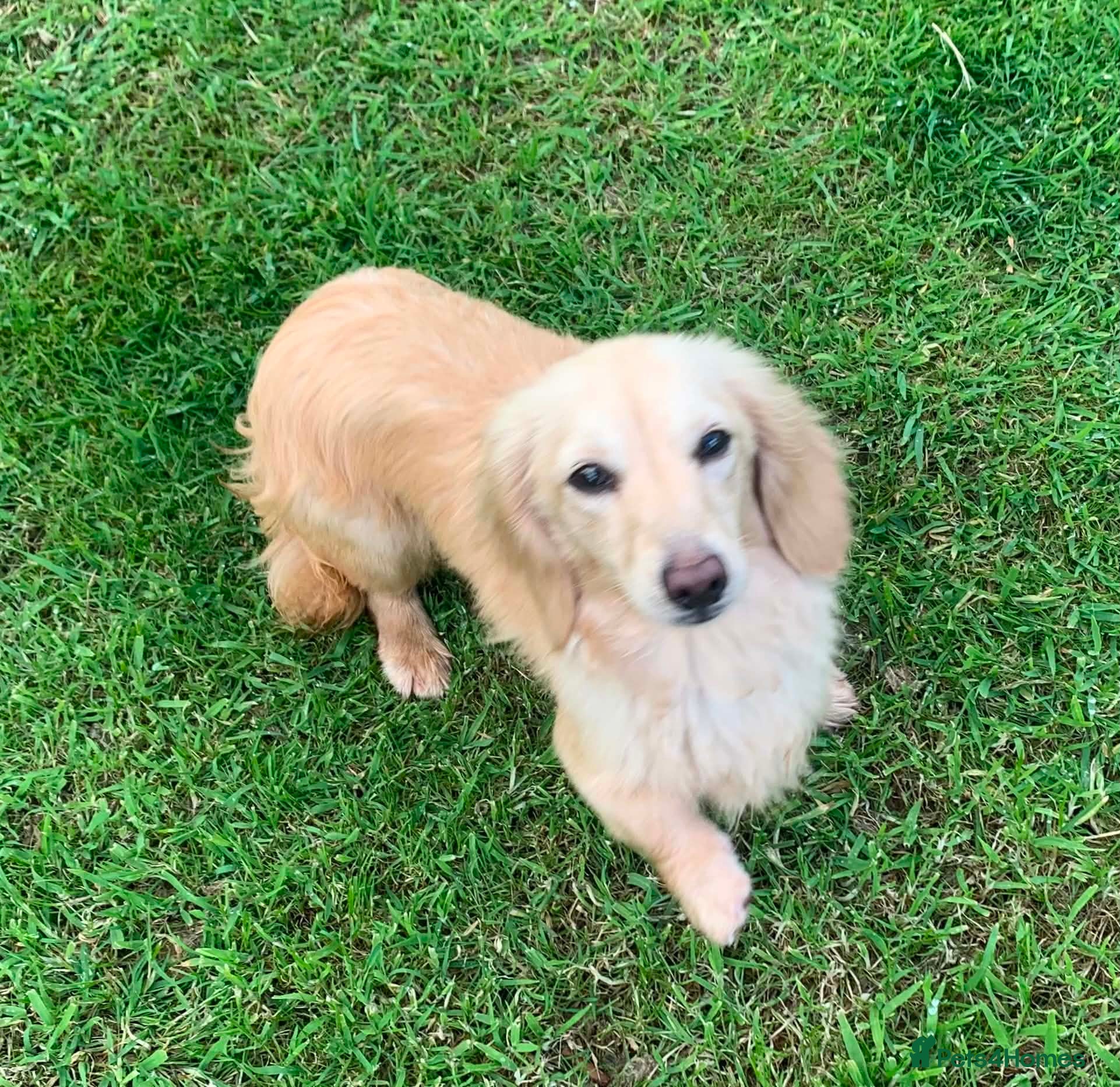 Pablo