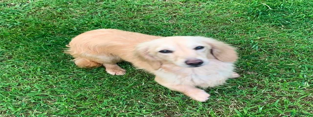 Pablo