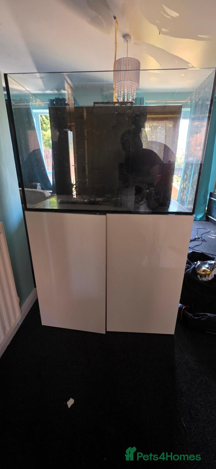 Swordtails fish Ea reef 900 pro  - Advert 5