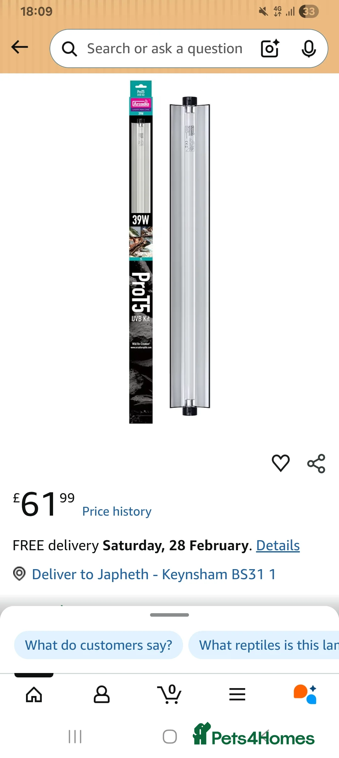 Hermann Tortoise reptiles for sale: Herman tortoise and set up - Advert 8