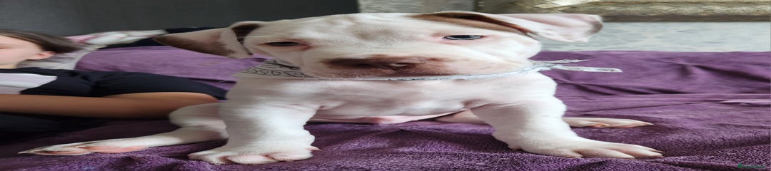 Yëti🩵
