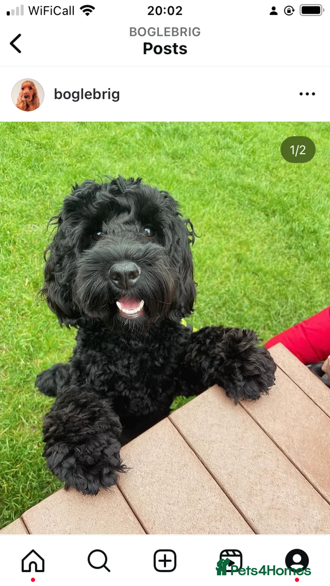 Gallery Image {{count}}