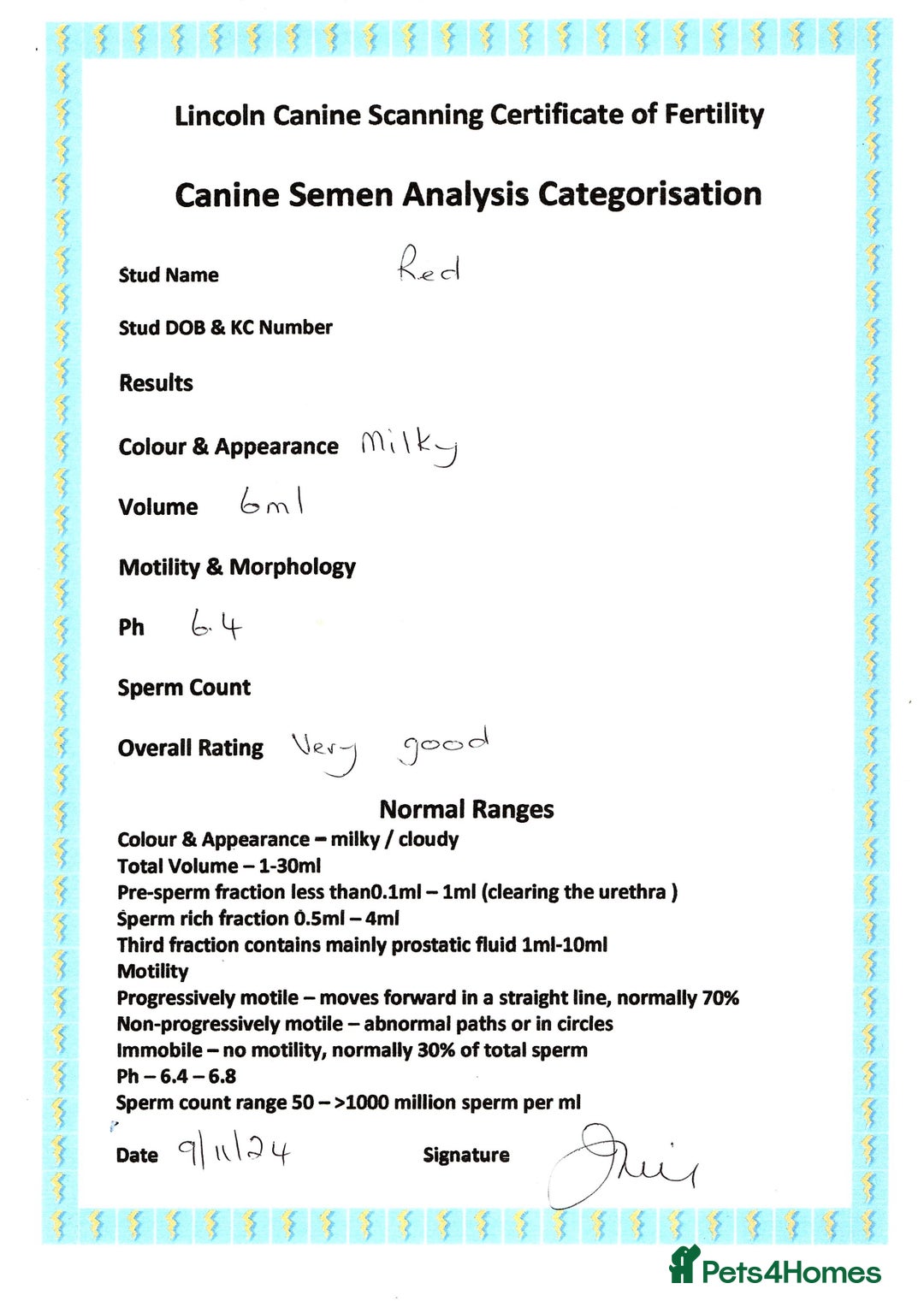 Miniature Poodle dogs for stud: KC health tested by 5* breeder / police K9 trainer - Advert 10