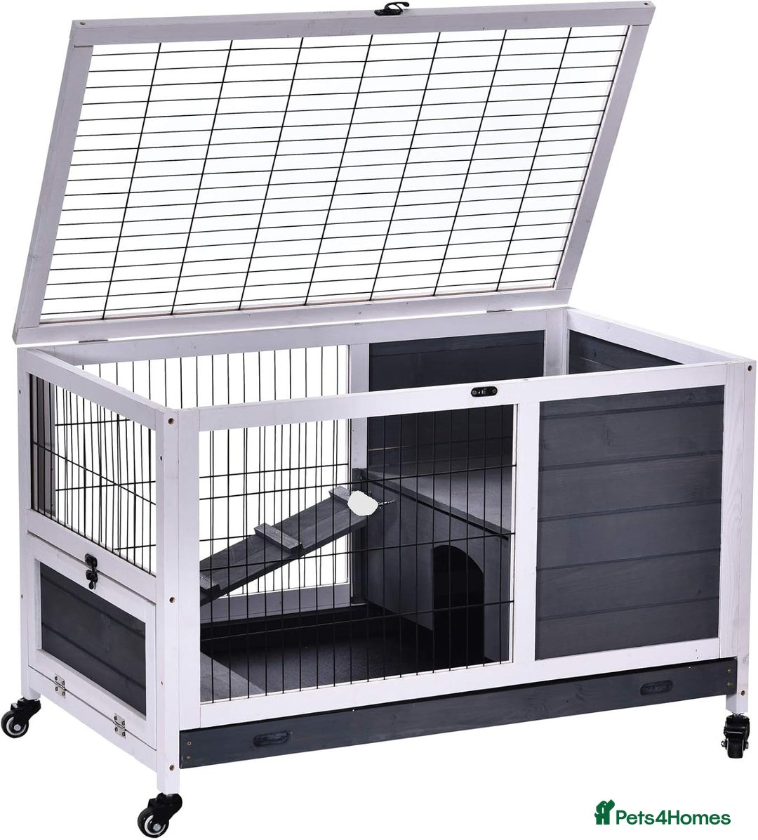 Mini Lop rabbits for sale: Bonded Mini Lop Rabbits + Hutch & Cage - Image 5