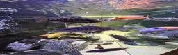Cichlids fish for sale: Fish tank full set up  - Advert 4