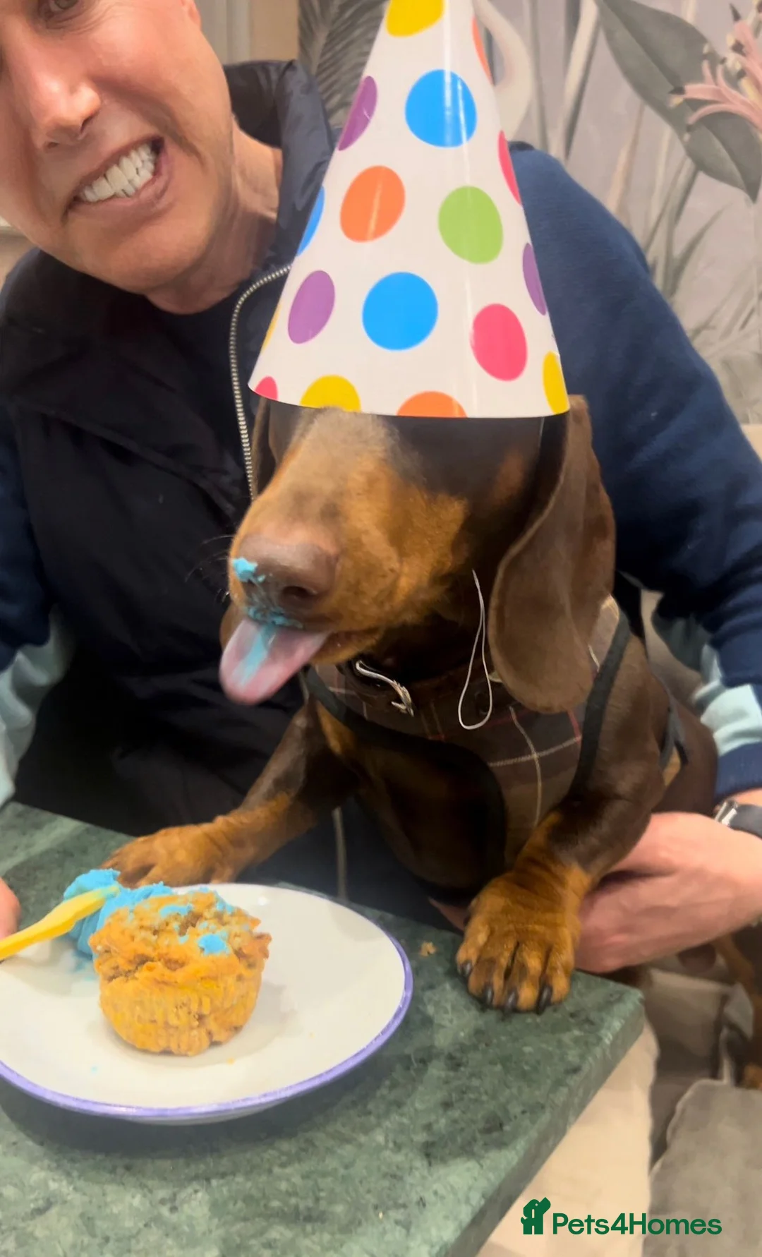 Gallery Image {{count}}