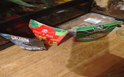 Gecko reptiles for sale: Crested gecko and setup - Image 14