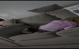 Cocker Spaniel dogs for sale: Cocker spaniel  - Advert 7