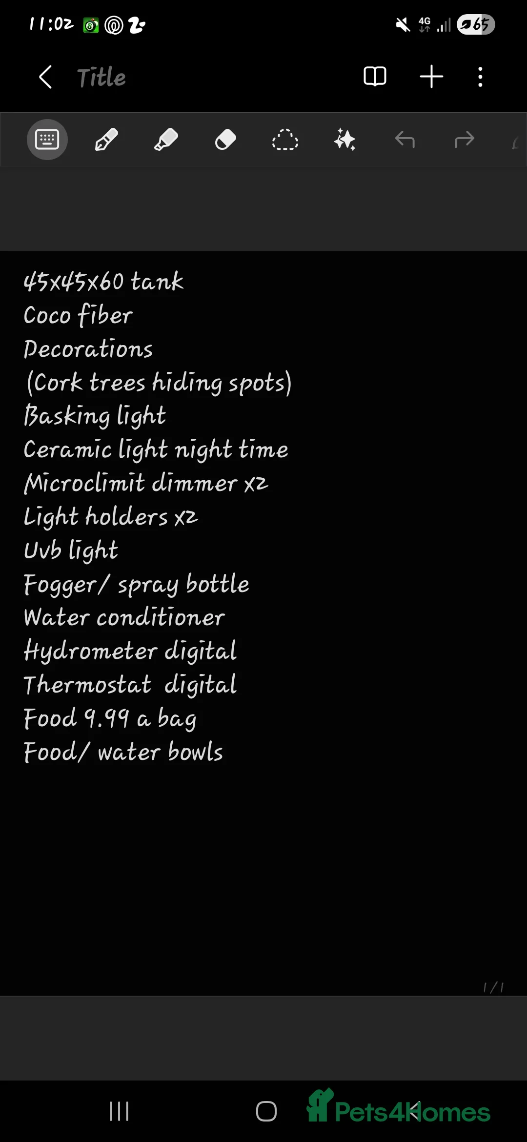 Gecko reptiles for sale: Chameleon gecko  in Chesterfield - Advert 4