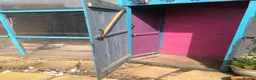 Finches birds for sale: MIXED FINCHES  in Coalville - Advert 10