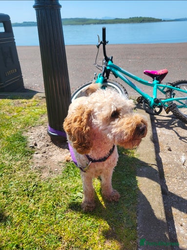 Gallery Image {{count}}