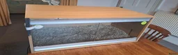 Corn Snake reptiles for sale: Corn snake with vivvarium in Ivybridge - Advert 14