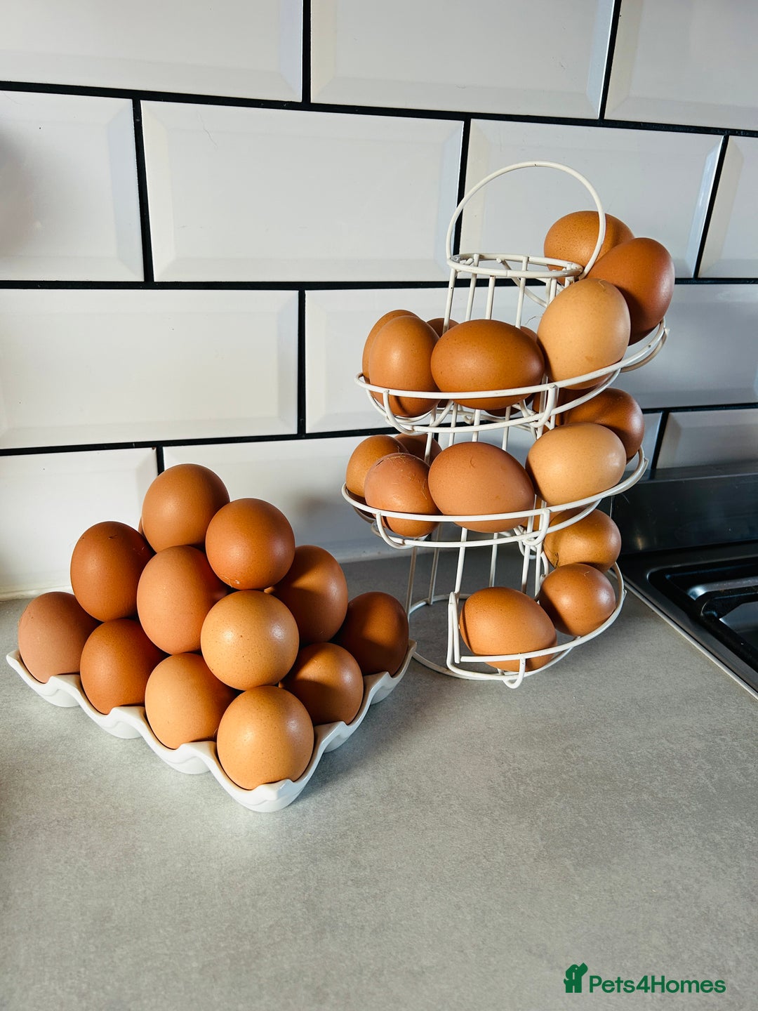 Chickens poultry for sale: 3 Hybrid Brown Hens  - Image 2