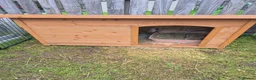Continental Giant rabbits for sale: Giant Continental Rabbit  in Falkirk - Advert 7