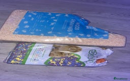 Hamster rodents for sale: hamster and everything included - Image 10