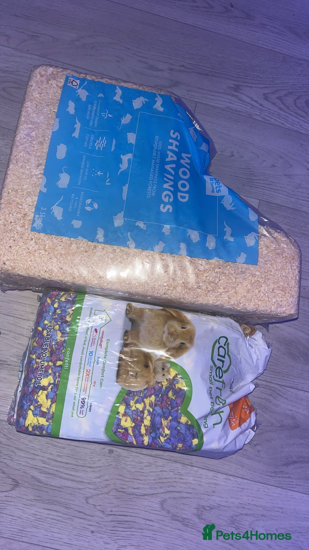 Hamster rodents for sale: hamster and everything included - Image 10