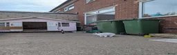 Mixed Breed rabbits for sale: Rabbit looking for good home - Advert 2