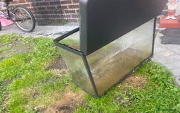 Bettas fish for sale: 2 tanks + fish - Image 4