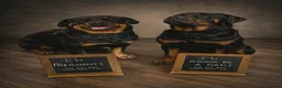 Rottweiler dogs for sale: Beautiful Chunky Rottweiler Puppies for Sale - Advert 7