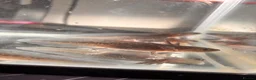Axolotl reptiles for sale: Black Meleniod axolotls   in Caldicot - Advert 5