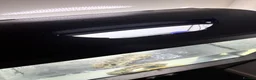 Other/Mixed Breed fish for sale: Albino Axolotl set up - Advert 3