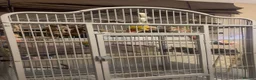 Conures birds for sale: 2 beautiful gccs looking for a new home - Advert 16