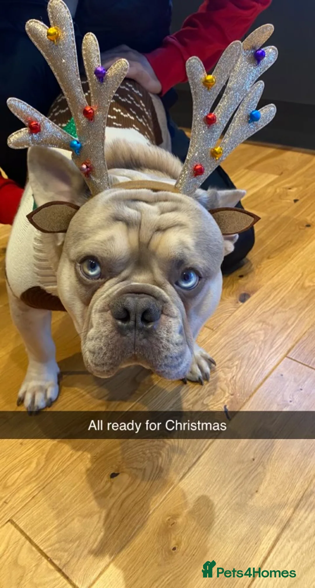 Gallery Image {{count}}