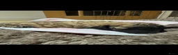 Miniature Poodle dogs for sale: Adorable miniature poodles for sale KC registered  - Advert 9