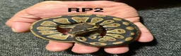 Python Snake reptiles for sale: Baby royal pythons - Advert 4