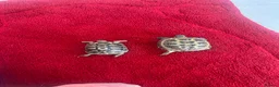 Tortoise reptiles for sale: 2x horse field tortoises - Advert 1