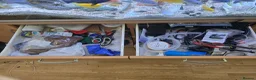 Cichlids fish for sale: 2 x fully stocked cichlids tanks for sale in Guildford - Advert 20