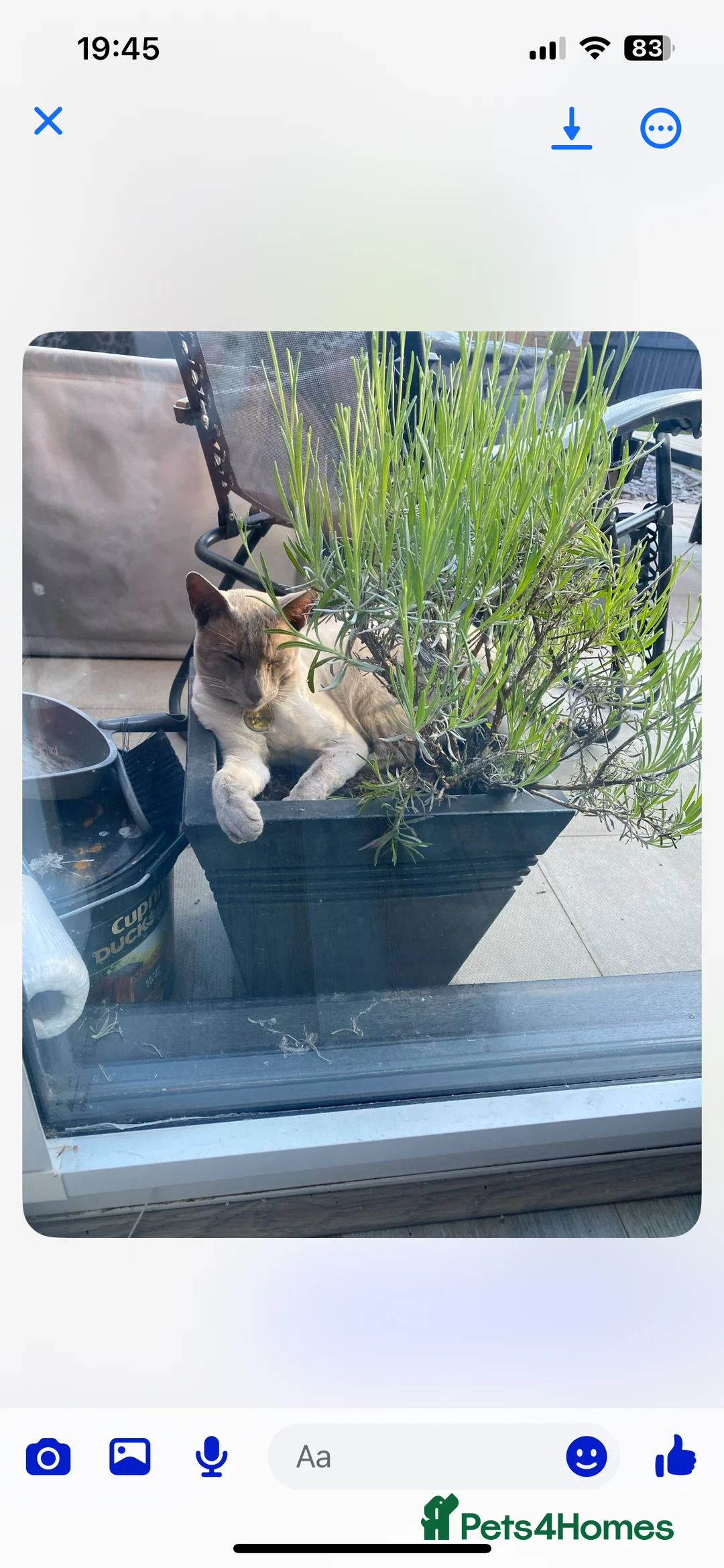 Gallery Image {{count}}