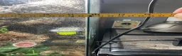 Gecko reptiles for sale: Mourning gecko enclosure and sand gecko enclosure  - Advert 11