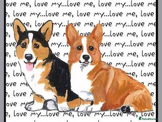 Welsh Corgi Pembroke dogs LOOKING FOR. - Advert 2