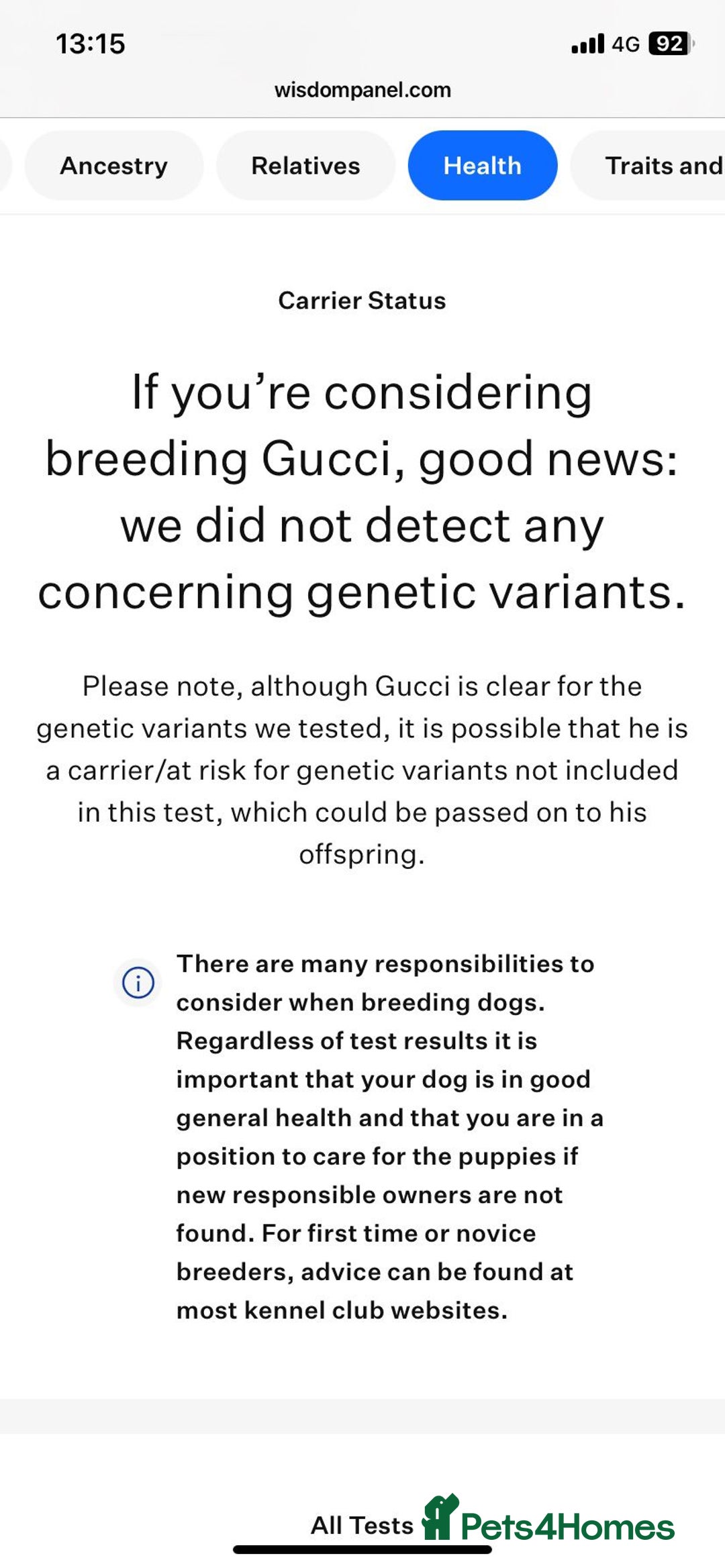 Mixed Breed dogs for sale: Maltese x Pomeranian  - Advert 6