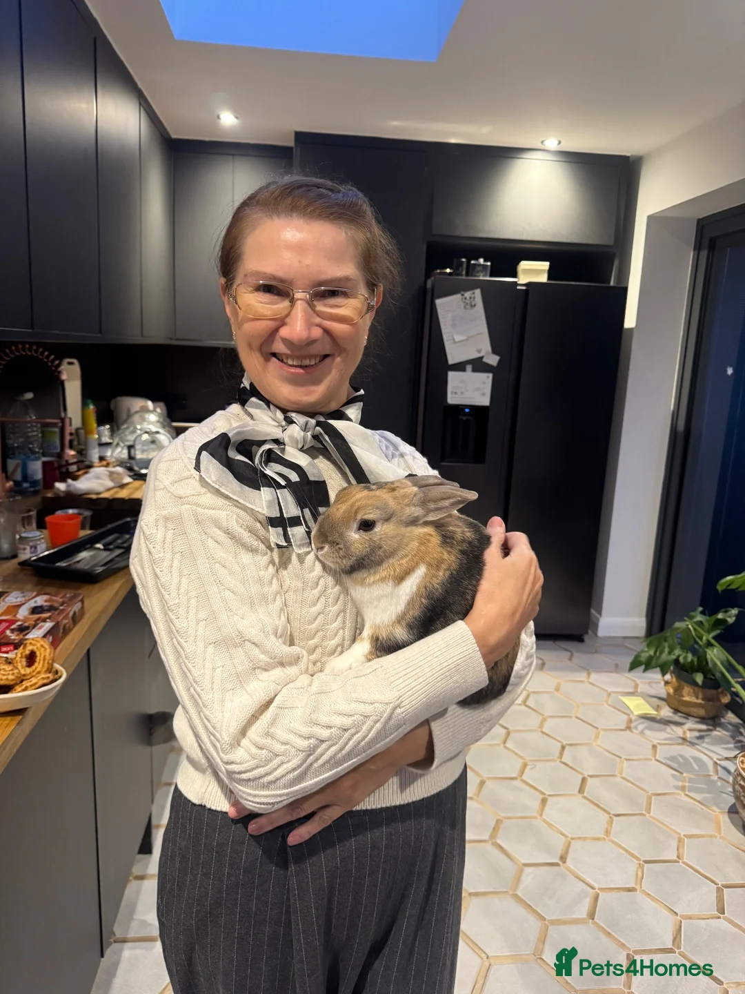 Mixed Breed rabbits for sale: Very friendly bunny in Brighton - Advert 2