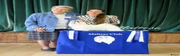 Maltese dogs for sale: Tiny KC Reg. Korean Maltese- CH line show dogs! - Advert 30