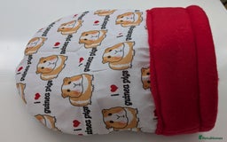 Guinea Pig rodents for sale: Guinea pig/rabbit snuggle sock/bedding  - Image 7
