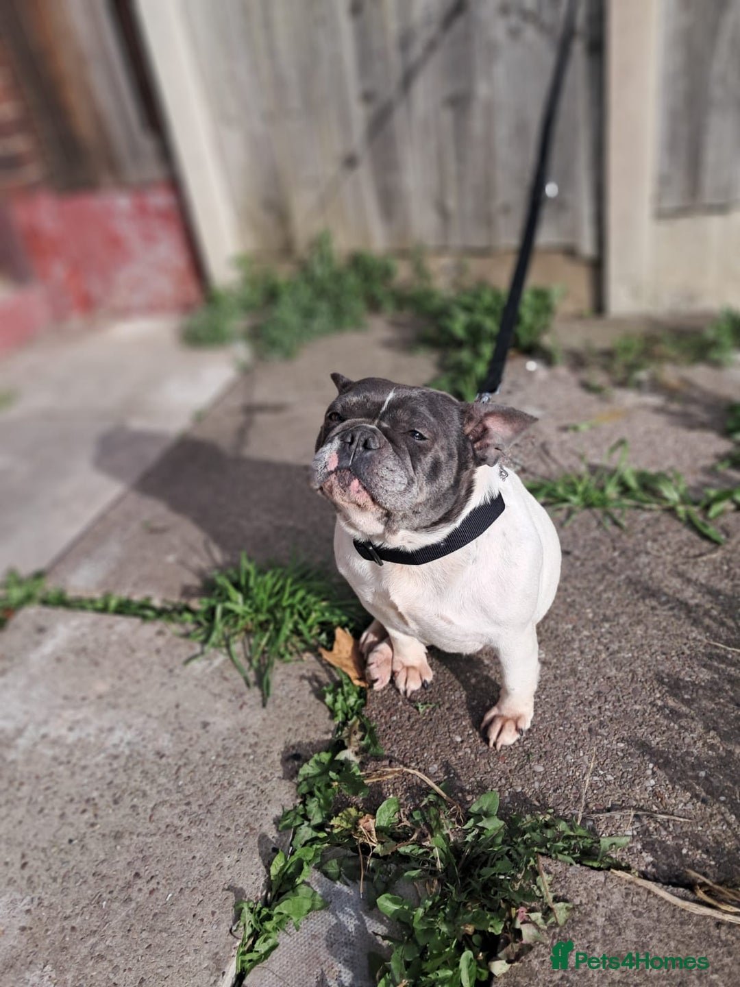 Gallery Image {{count}}