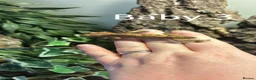 Gecko reptiles for sale: 3x baby Crested Geckos - Harlequin/Dalmatian - Advert 5