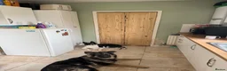 German Shepherd dogs for sale: Meet marmalade our female German shepherd  - Advert 7