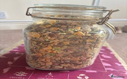 Hamster rodents for sale: Friendly dwarf hamster - 12 weeks old  - Image 8