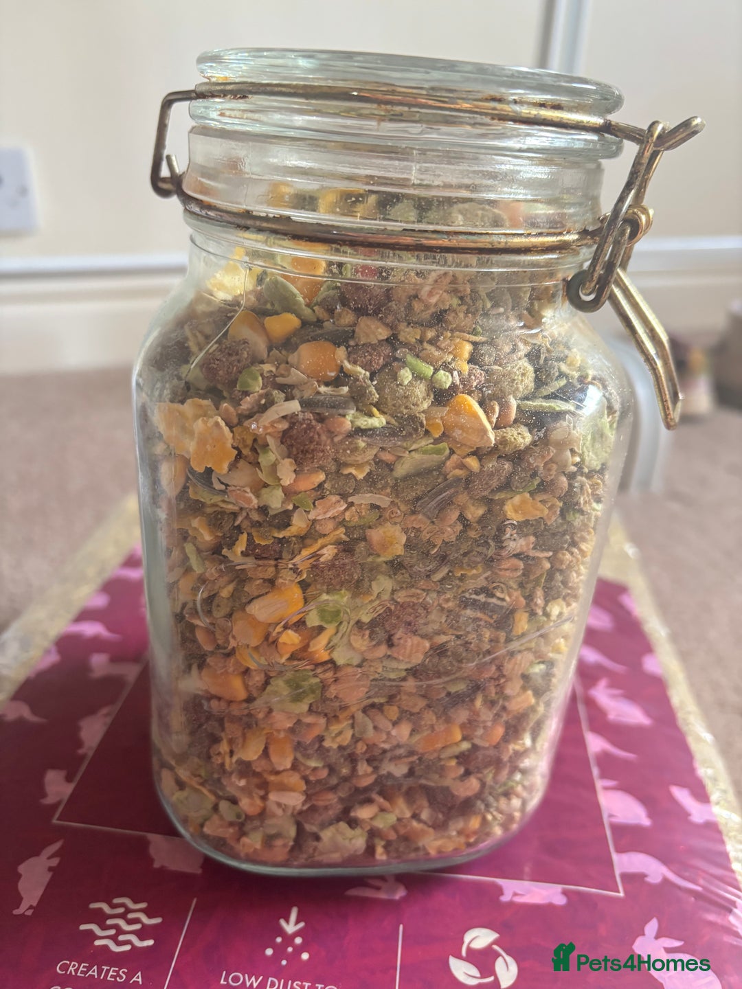 Hamster rodents for sale: Friendly dwarf hamster - 12 weeks old  - Image 8