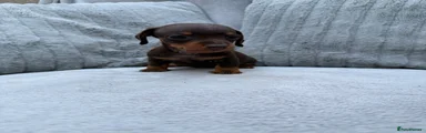 AERO