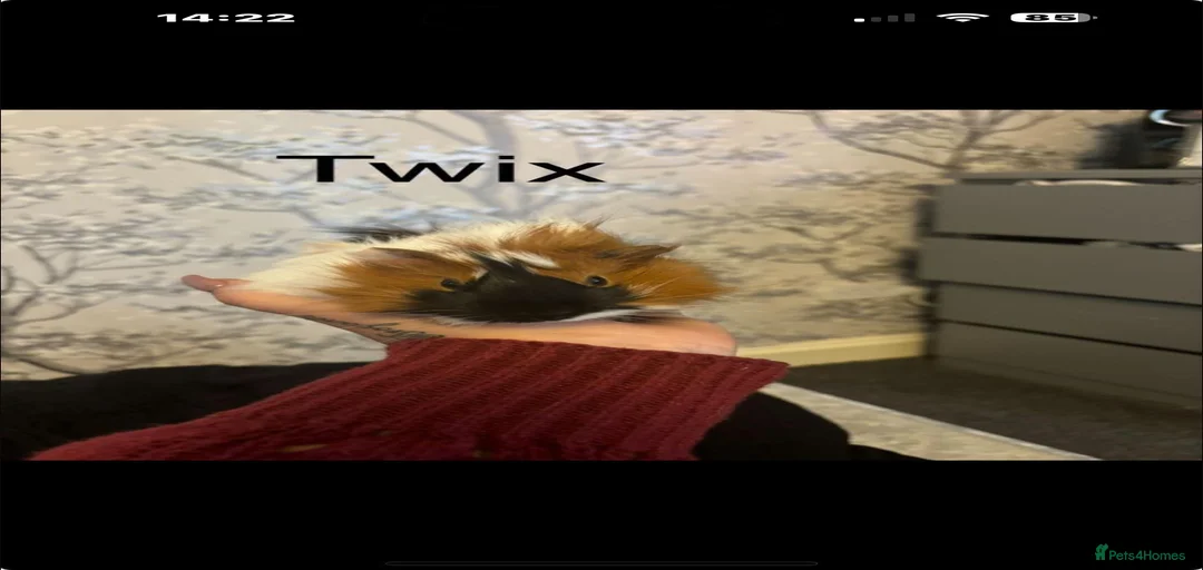 Gallery Image {{count}}